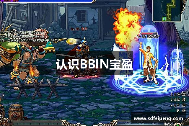 认识BBIN宝盈
